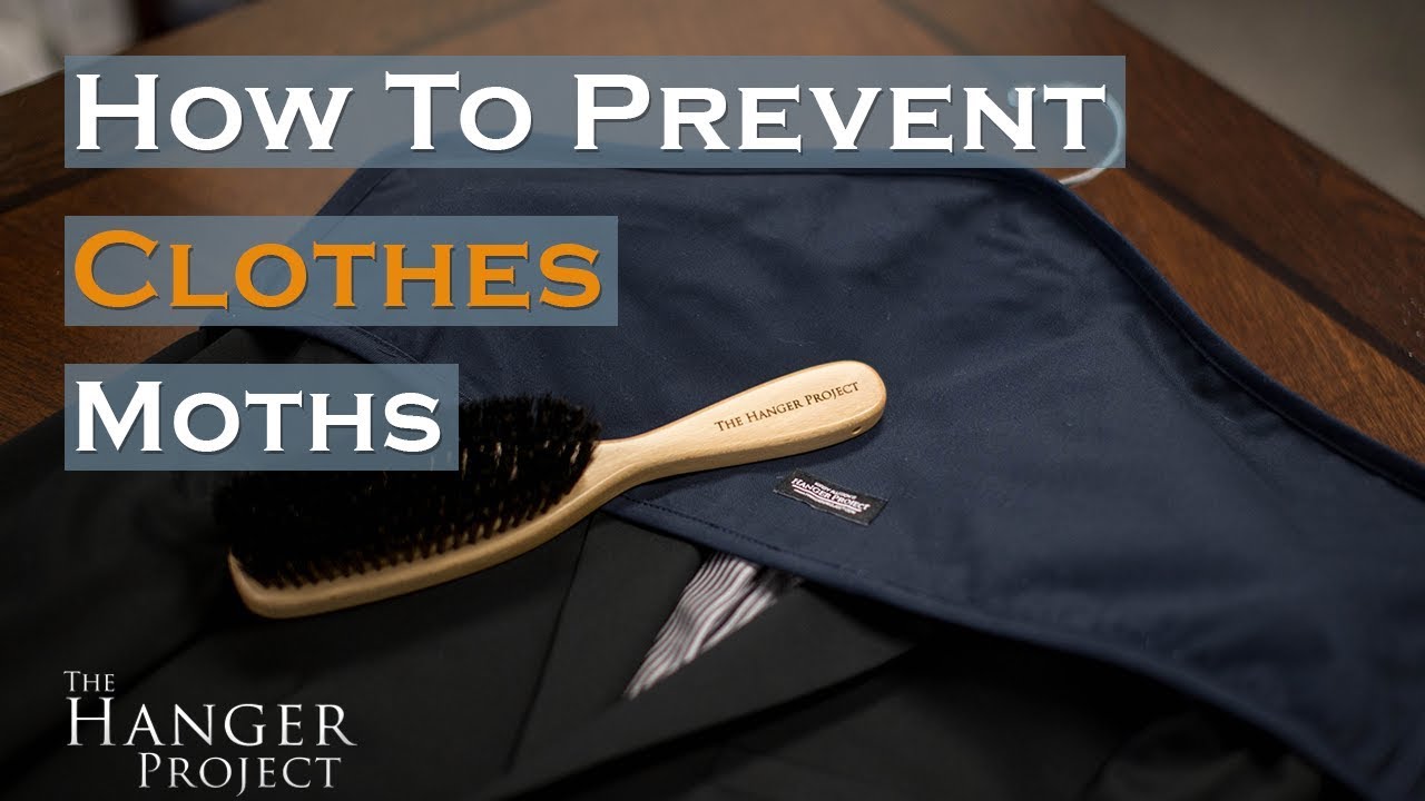 How to Prevent Clothes Moths