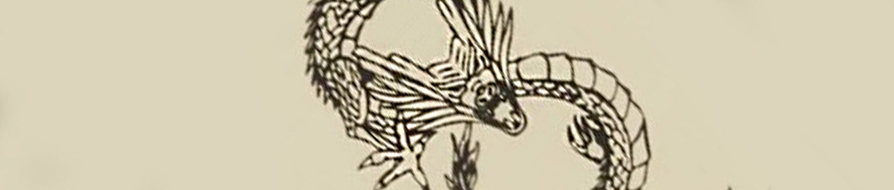 Line drawing of a dragon with large wings and a long, curved tail, set against a plain background.