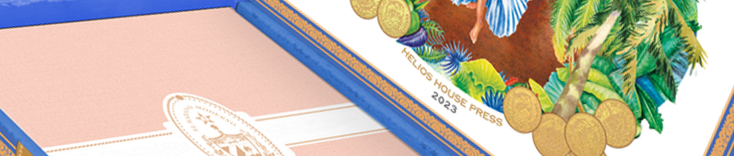 Close-up of a book with a blue and gold cover. It features tropical illustrations and coins, with text "MELIOR HOUSE PRESS 2023" on the spine.