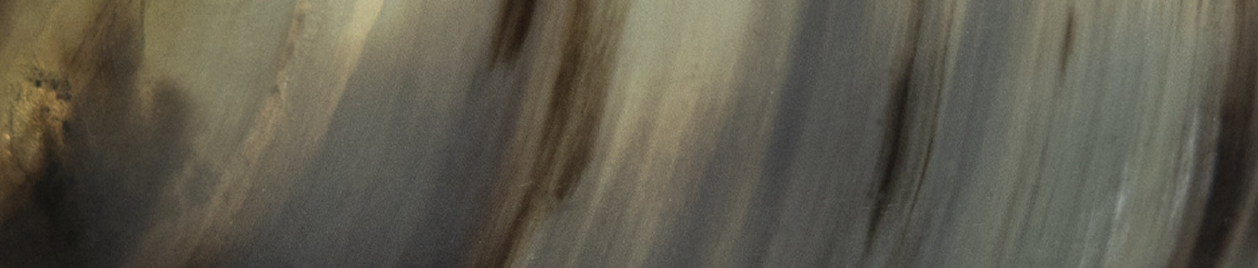 Abstract image with vertical, blurred brushstrokes in shades of green, brown, and gray. The colors blend smoothly, creating a sense of movement and depth.