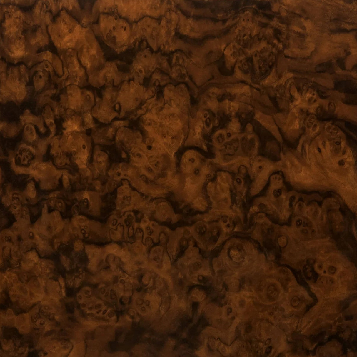 Elie Bleu Walnut Burl Classic Humidor (110 Cigars)