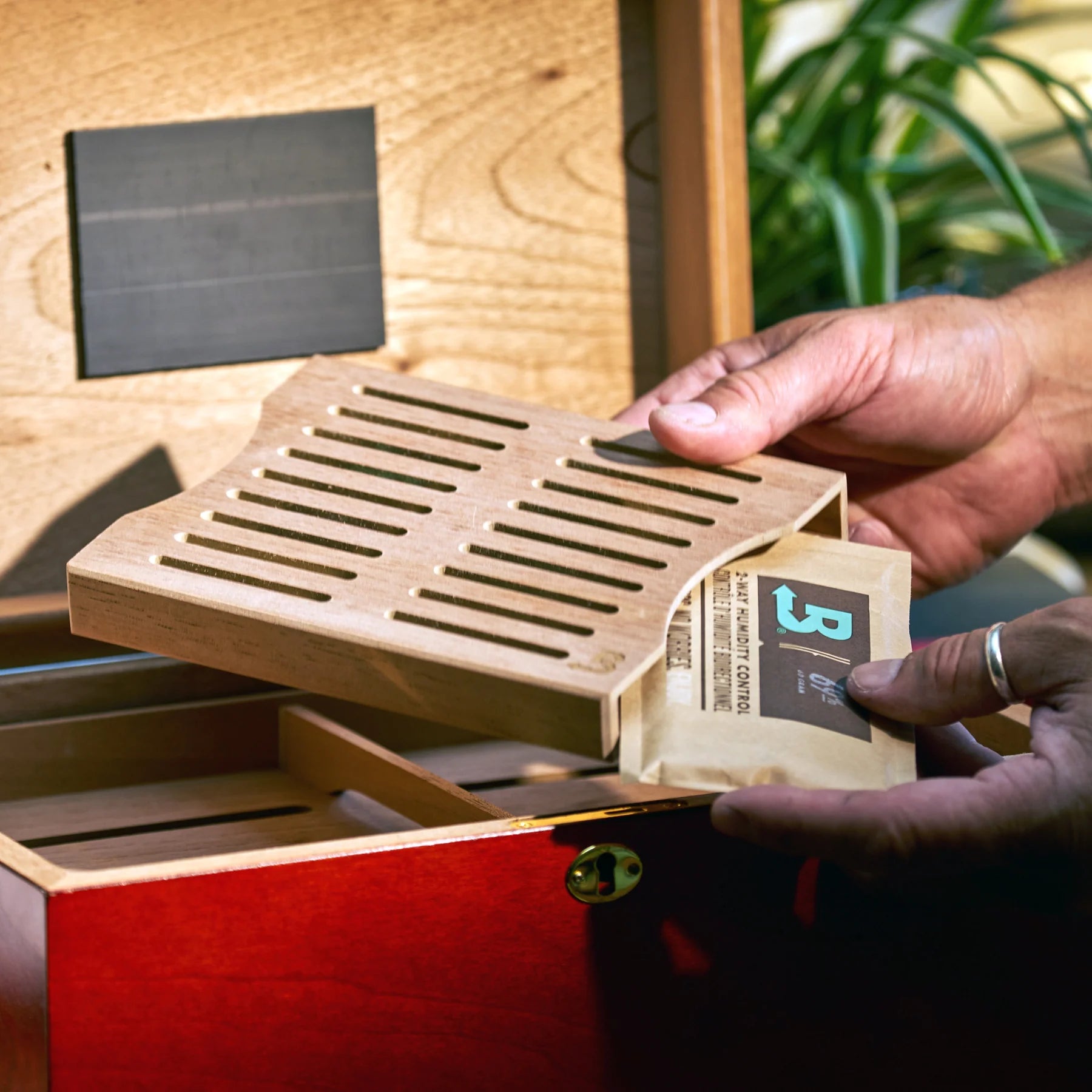 Boveda Size 60 Cedar Holder